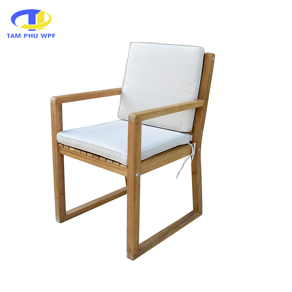 Dining Chair TP-DI2